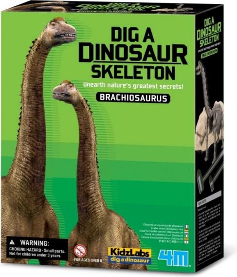 Set pentru săpături - Brachiosaurus