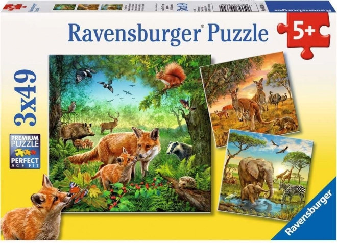 Puzzle Ravensburger Animale 3×49 piese