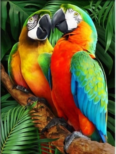 Mozaic cu diamante (diamond painting) papagali colorați 30 × 40 cm