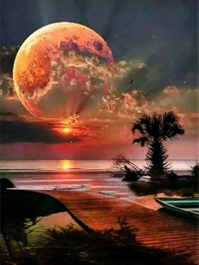 Norimpex pictură după numere Luna deasupra țărmului 40 × 50 cm
