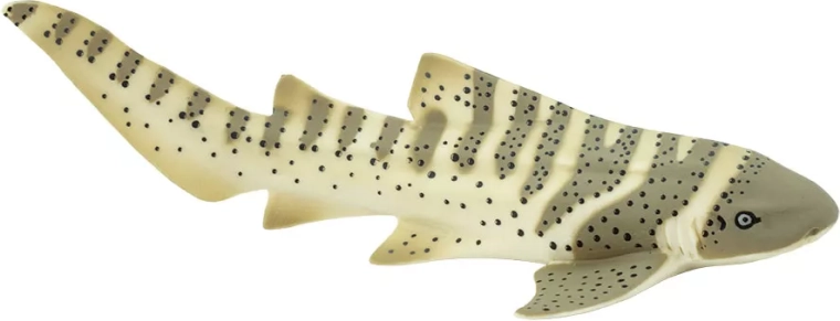 Safari Ltd. rechin corn cu dungi – figurină de rechin - 1 bucată