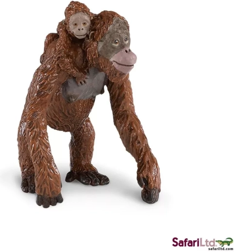 Orangutan cu pui