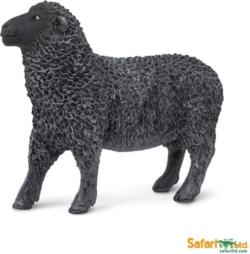 Oaie neagră - 1 bucată