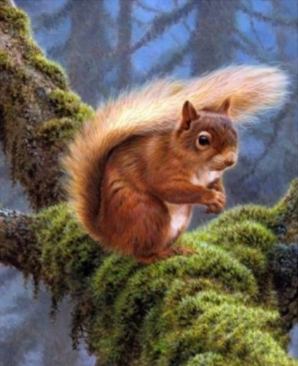 Pictură cu diamante – veveriță pe ramură 30 × 40 cm