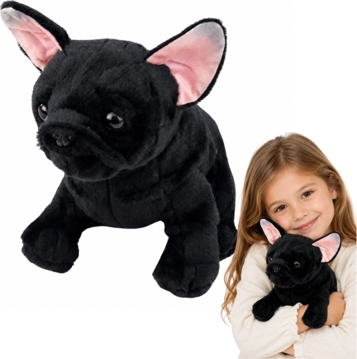 Bulldog francez din pluș, negru, 22 cm