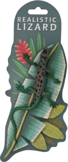 Animale – cameleon care își schimbă culoarea