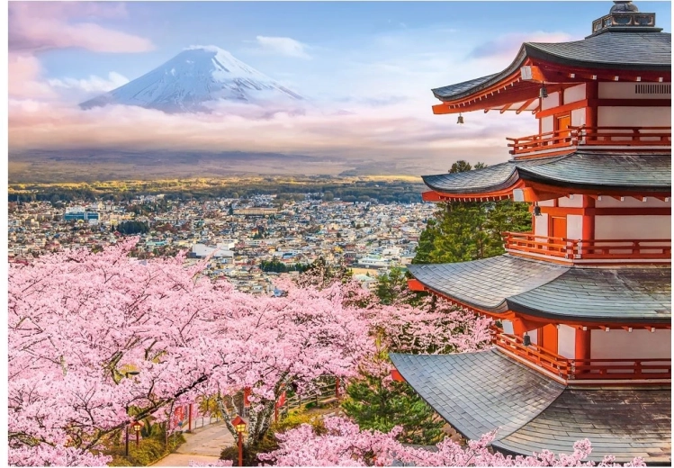 Puzzle Castorland Primăvara în Japonia 500 piese