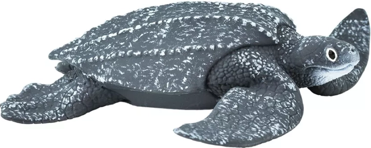 Broască-țestoasă pieloasă (Dermochelys coriacea) Safari Ltd. - 1 bucată