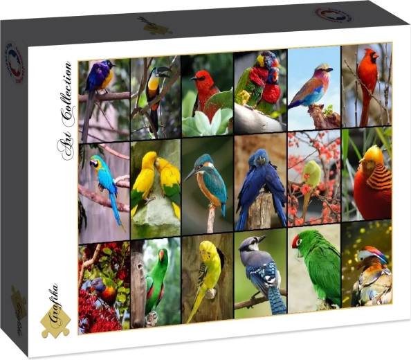 Puzzle Grafika Cei mai frumoși păsări din lume, 1500 de piese