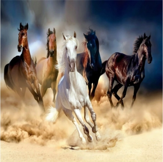 Mozaic cu diamante (diamond painting) turmă de cai în galop 30 × 30 cm
