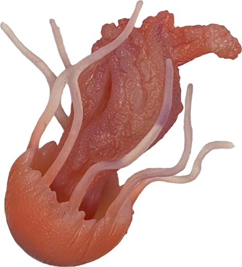 Meduză din cauciuc 10 cm – jucărie pentru cadă și piscină