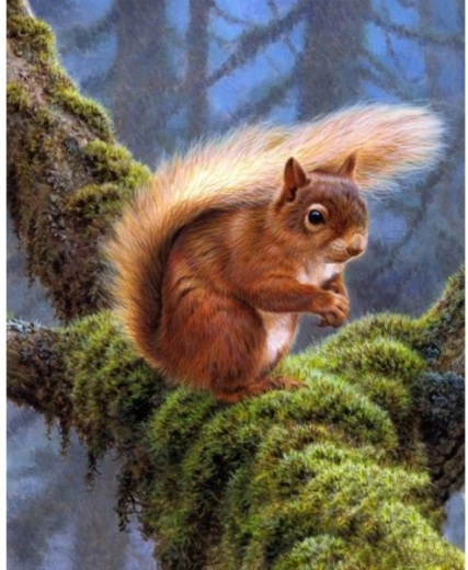 Broderie cu diamante (diamond painting) veveriță 30 × 40 cm - 1 bucată
