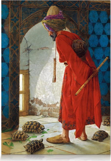 STAR puzzle dresor de țestoase – 1000 de piese