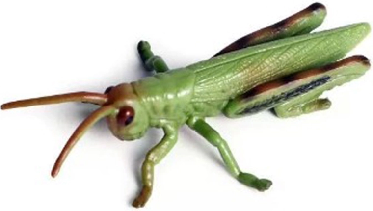 Insectă – lăcustă 9 cm