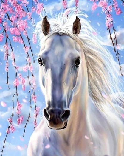 Norimpex Pictură după numere – cal alb sub ramuri roz 40 × 50 cm