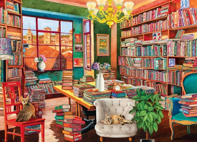 Puzzel Biblioteca Veche 1000 piese EUROGRAPHICS