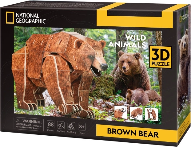 Puzzle 3D Animale pe cale de dispariție – urs brun