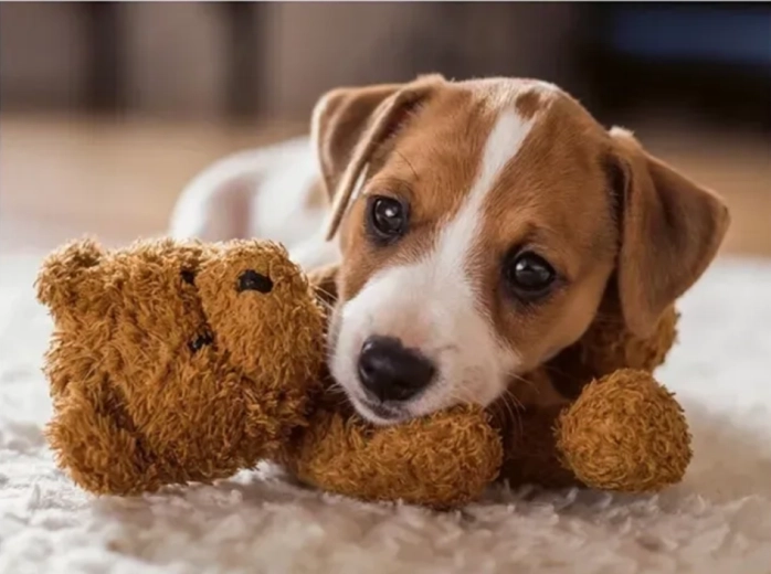 Puzzle Ravensburger Îmbrățișare călduroasă 500 piese