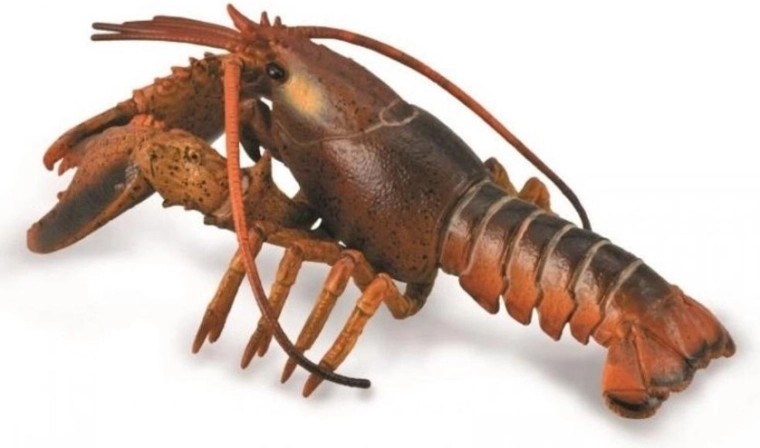 Collecta homar – figurină educativă realistă