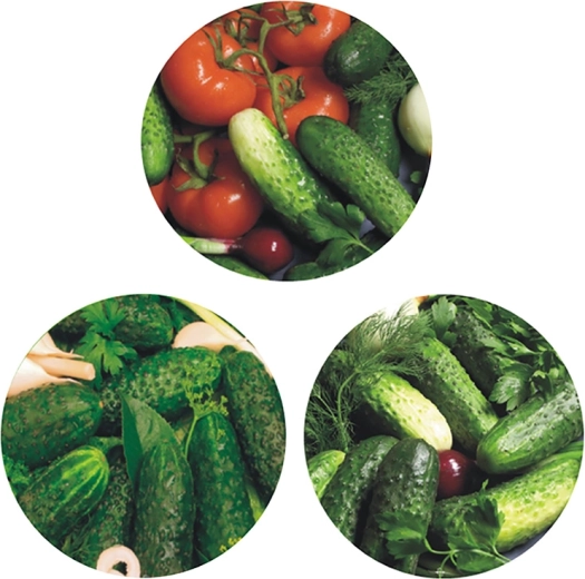 Set de capace metalice pentru borcane de conserve, fi 66, cu 4 prinderi – motiv castravete (10 buc.)