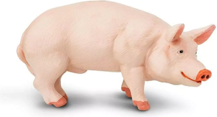 Figurină purceluș (porc domestic) Safari Ltd.