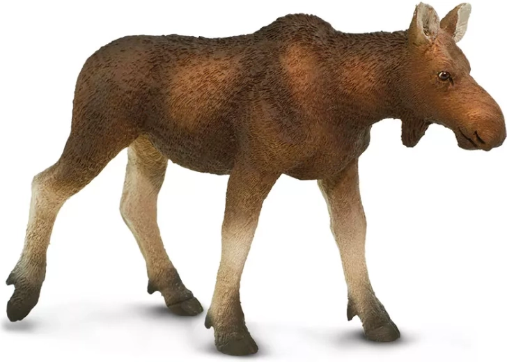 Safari Ltd. figurină femelă de elan european - 1 bucată