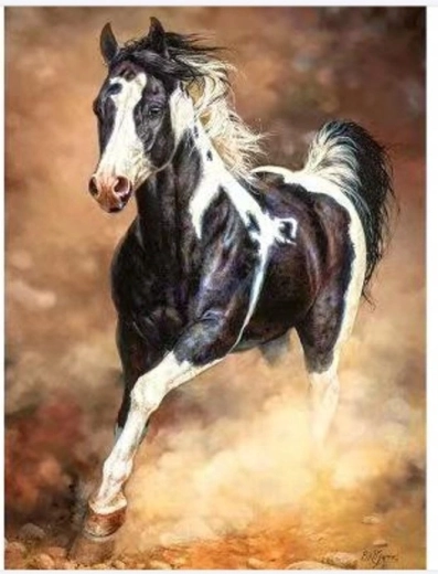 Norimpex Pictură pe numere – cal galopând prin nisip, 40 × 50 cm