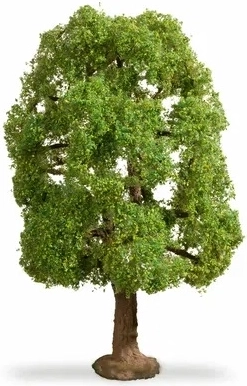Copac Master Tree Noch – frasin 20 cm