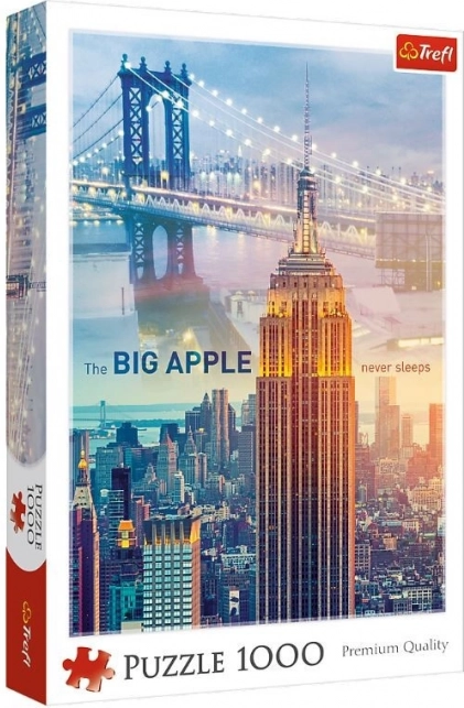 Puzzle 1000 piese New York la răsărit