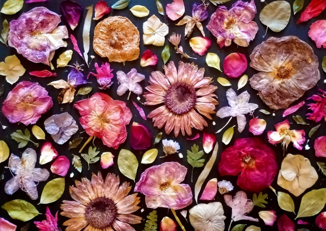 Bucurați-vă de puzzle roz 1000 de piese