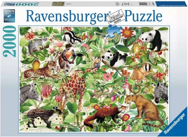 Puzzle Ravensburger Jungla 2000 de piese