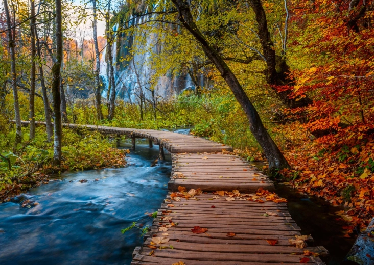 Puzzle Ravensburger Pădure misterioasă, 1.000 de piese