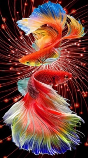 Pictură cu diamante Peștișori roșii 30 × 40 cm