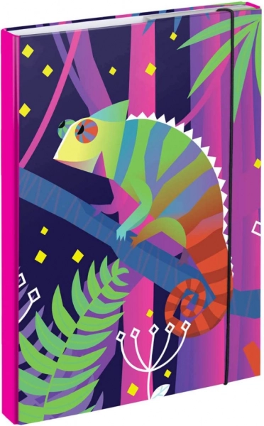 BAAGL Mapă pentru caiete școlare A4 Chameleon