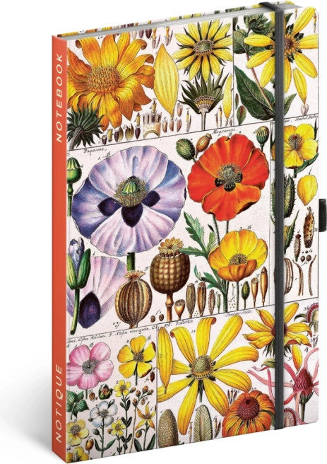 Caiet Herbariu Kateřiny Winterové, punctat 13 × 21 cm