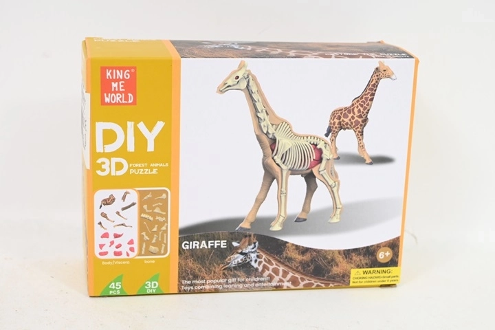 Model anatomic de girafă