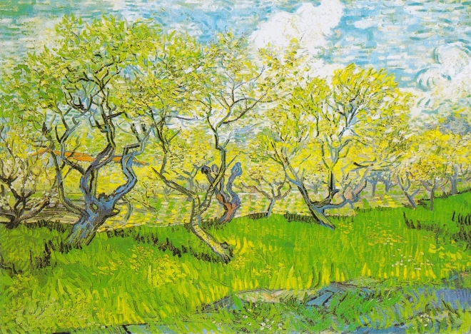 Puzzle Vincent van Gogh: Livadă Înflorită 1000 de piese
