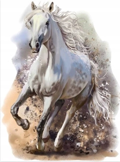 Norimpex pictură cu diamante cal alb cabrat 30 × 40 cm