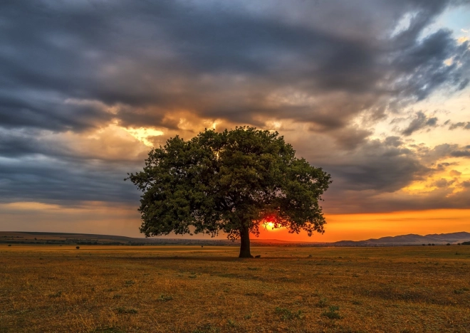 Puzzle Amurg 1000 piese ENJOY