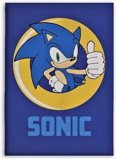 Pătură din fleece Sonic