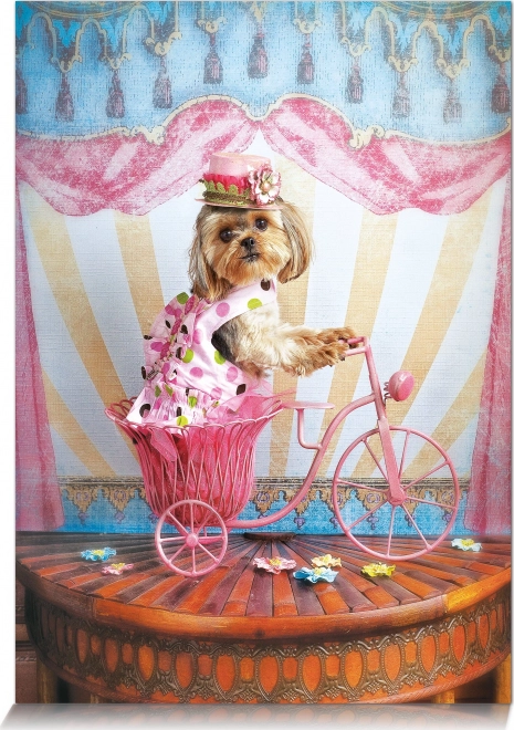 Puzzle Visătorul călător 500 piese