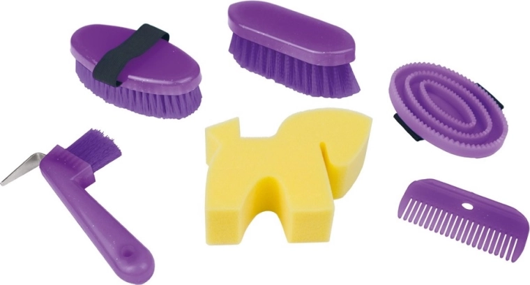 Lena set de îngrijire a calului în cutie