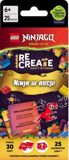 LEGO NINJAGO Cărți cu provocări: Ninja în acțiune