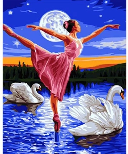 Pictură pe numere pe ramă 40 × 50 cm – Lacul lebedelor
