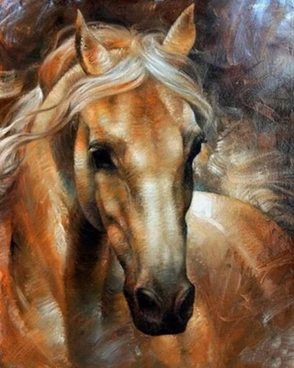 Norimpex pictură pe numere cu portret de cal 40 × 50 cm