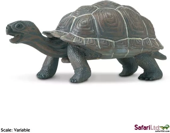 Safari Ltd. figurină pui de țestoasă de Galápagos - 1 bucată