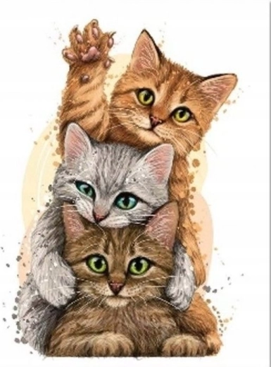 Pictură cu diamante Piramida pisicilor 30 × 40 cm