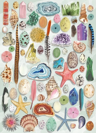 Puzzle Gibsons Curiozități Naturale 1000 Piese