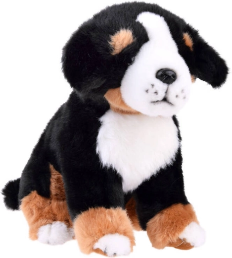 Câine de jucărie din pluș Bernese Mountain - șezând 20 cm