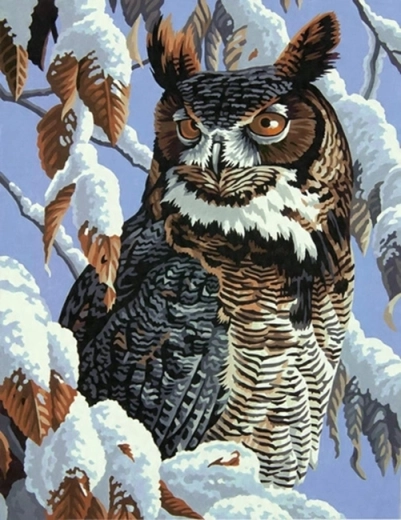 Norimpex Pictură după numere Bufniță pe o ramură înzăpezită 40 × 50 cm